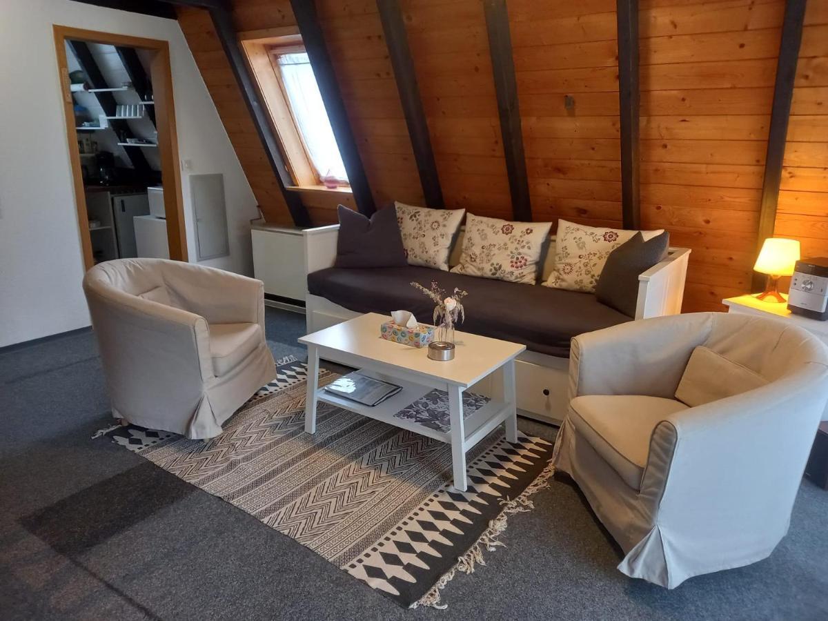 Gemuetliches Ferienhaus Mit Sonniger Terrasse Frankenwald Naehe Badesee Smart-Tv Lichtenberg  Kültér fotó